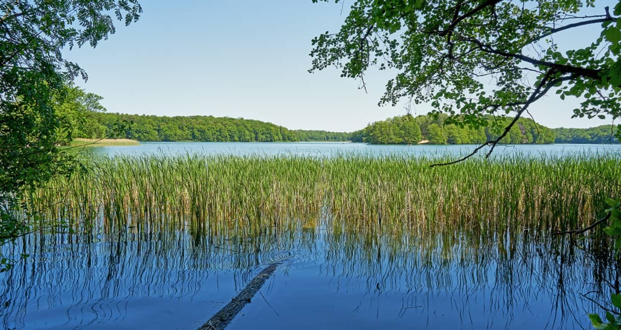Gewässer im Landkreis Barni: z.B. der Liepnitzsee