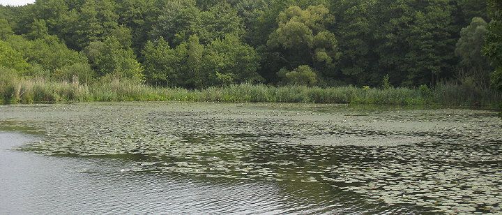 Gewässer im Landkreis Oberspreewald-Lausitz