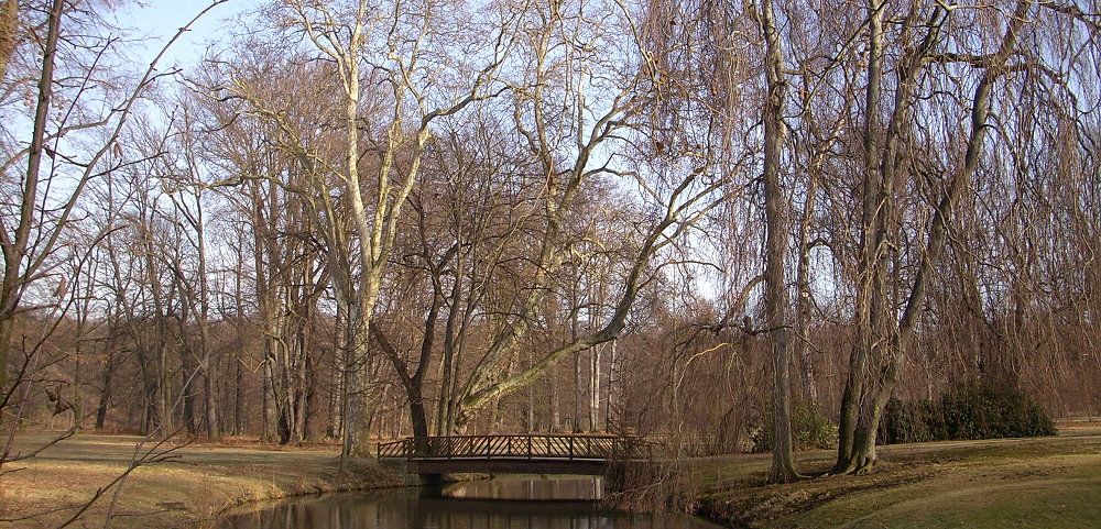 Fürst Pückler Park im Winter