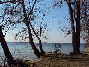 Ufer vom Parsteiner See