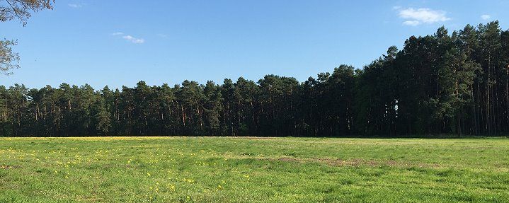Wald und Wiese in Teltow-Fläming