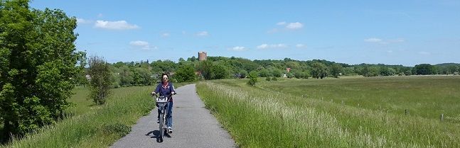 Radfahrerin auf einem Fahrradweg im Nationalpark unteres Odertal