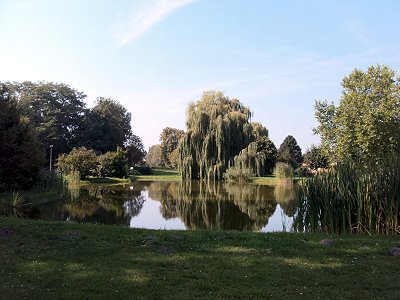 Park von Schloss Kunersdorf