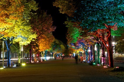 Straße Unter den Linden bei Nacht