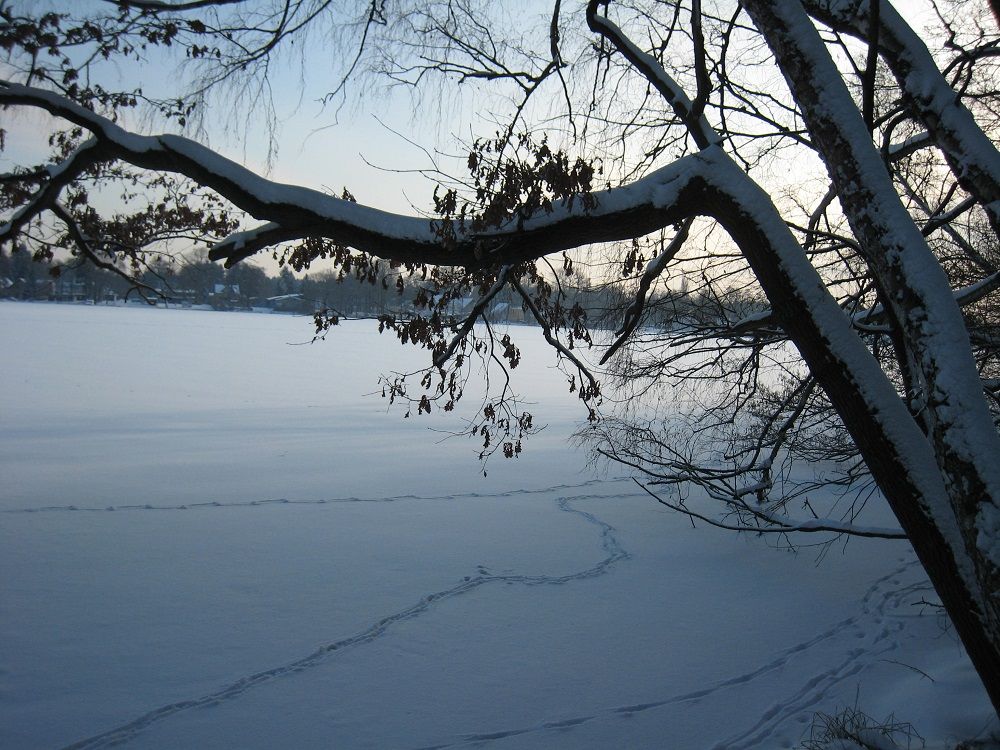 Ein Berliner See im Winter
